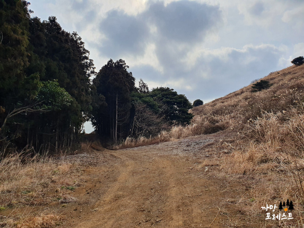 손지오름 잘못된 길 방향