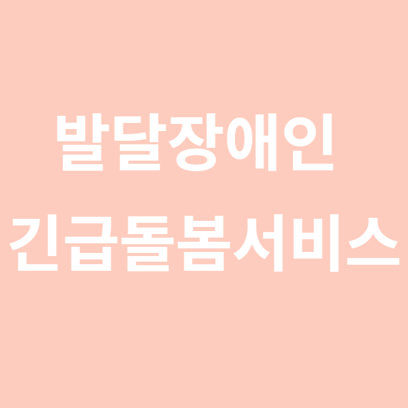 발달장애인 긴급돌봄서비스