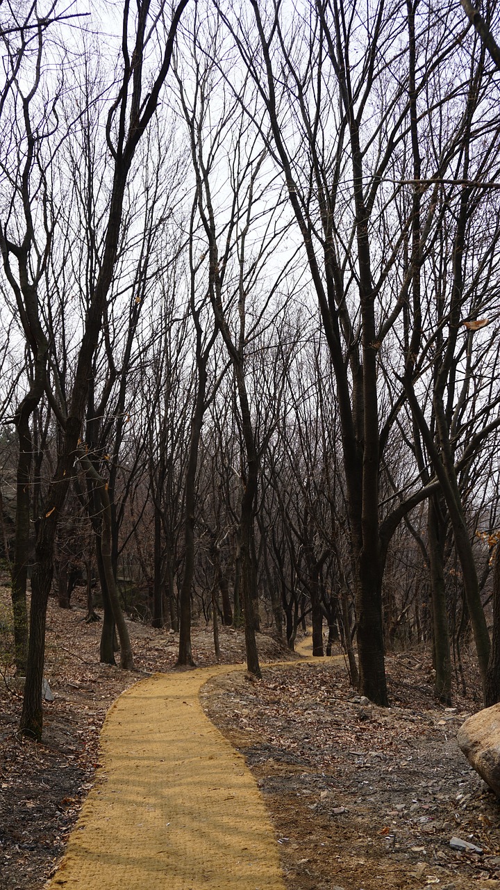 불암산