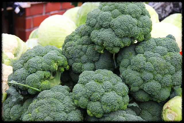 브로콜리 이미지16