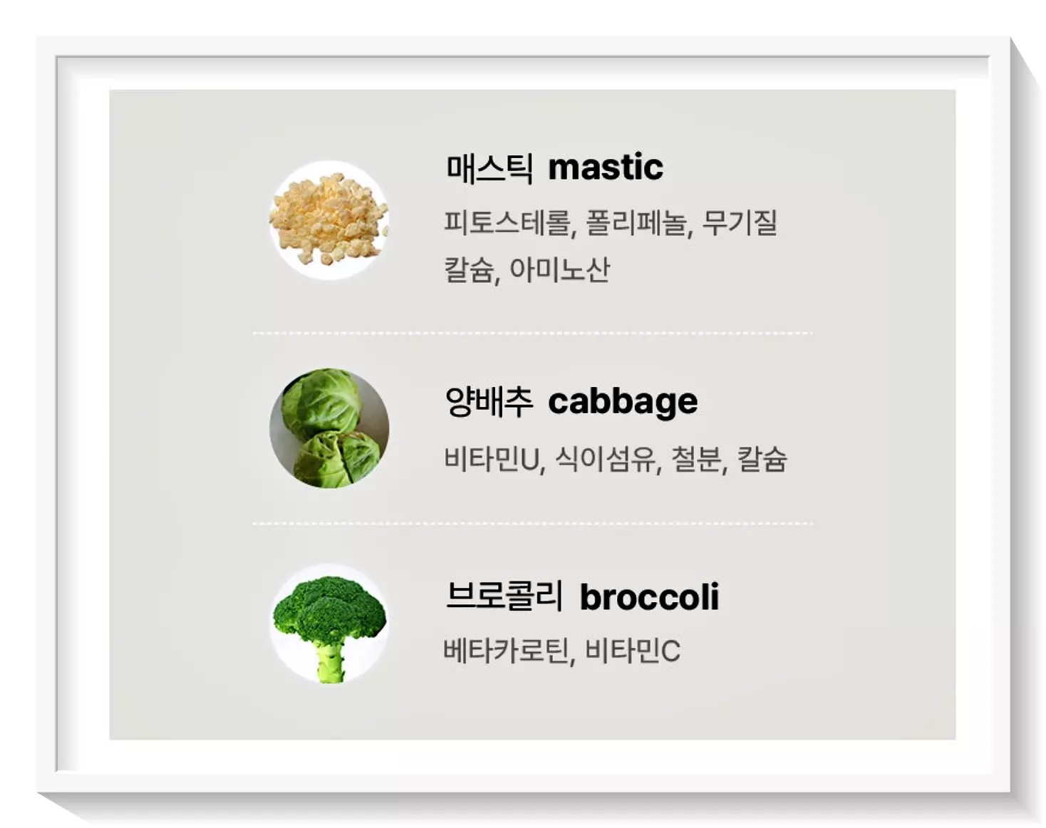 아이소아 진제놀 영양제 하이매스틱 성분