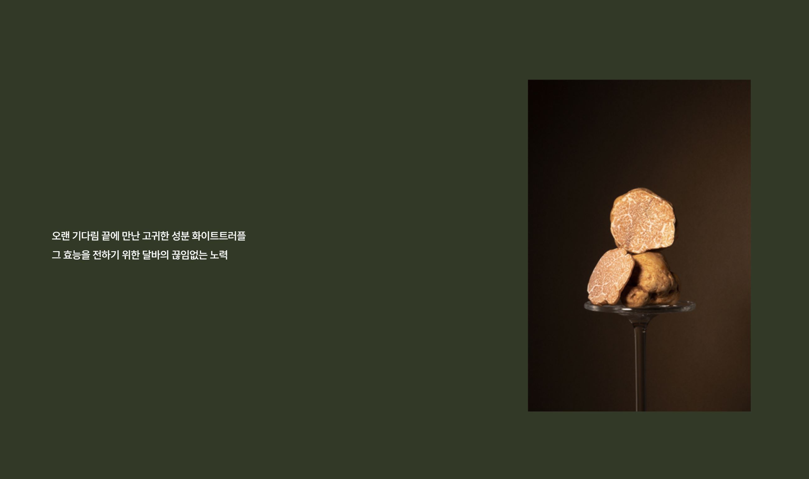 달바글로벌 수요예측결과 공모주 투자포인트