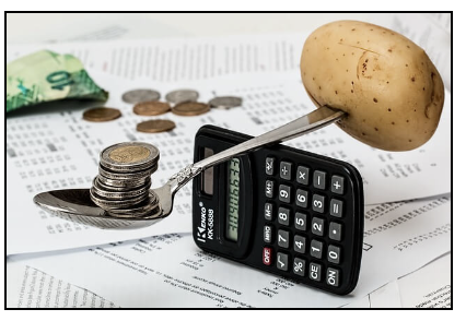 모바일 신분증 발급방법