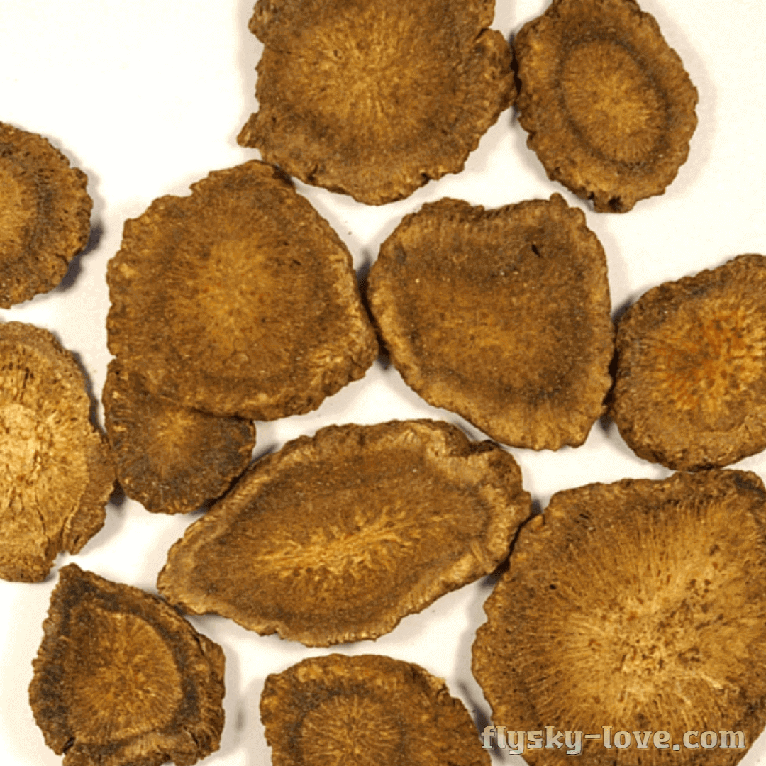 목향 고르는 법