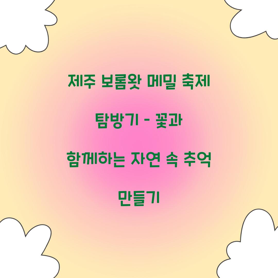 제주 보롬왓 메밀 축제
