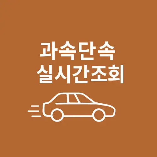 과속 단속 조회 실시간