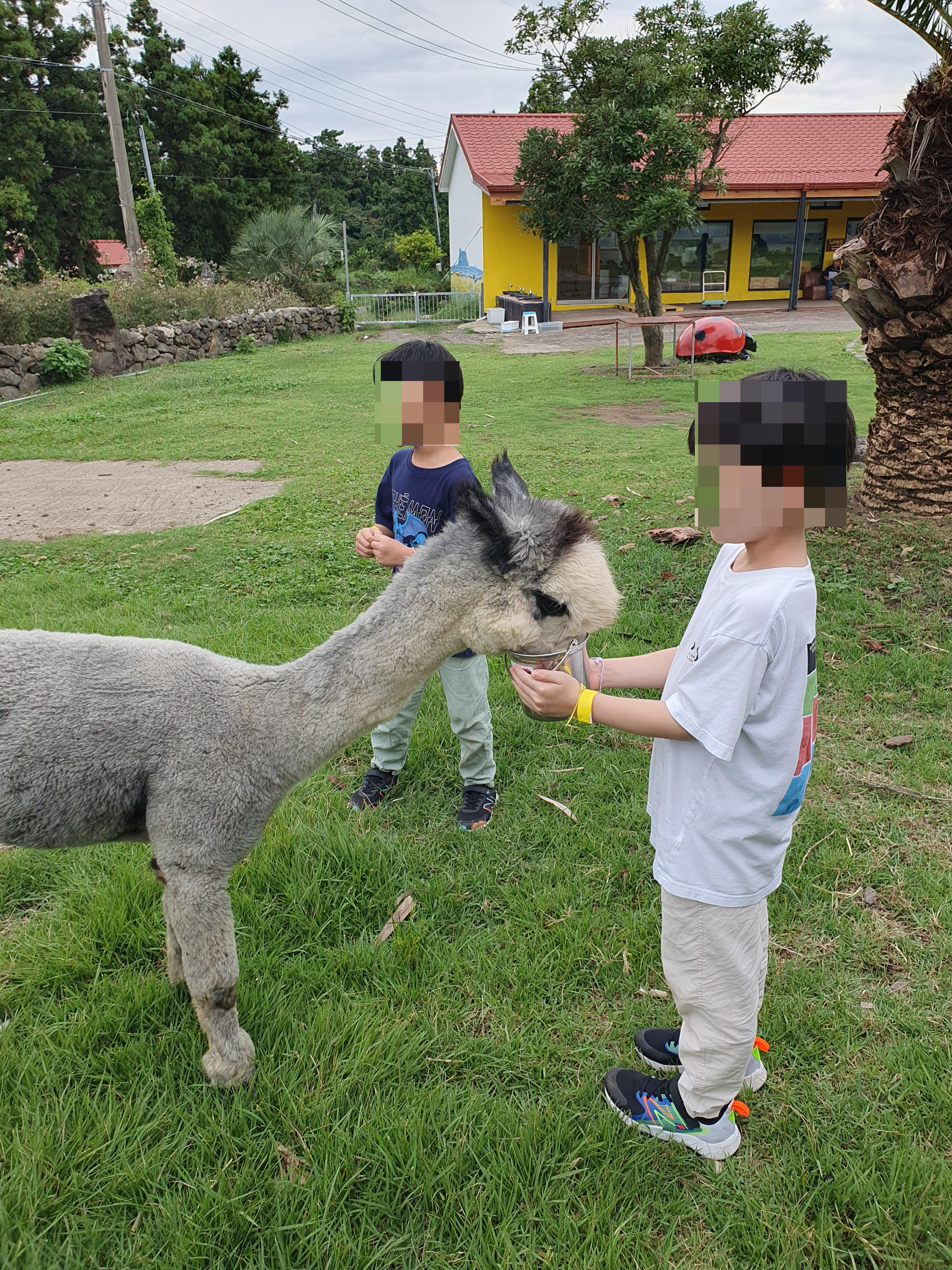 최남단 체험 감귤농장