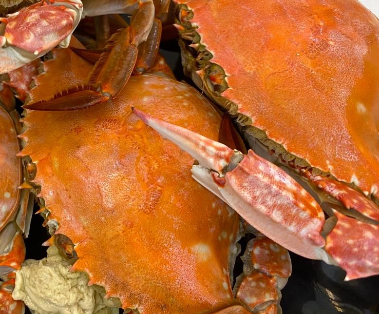 잘 삶은 6시내고향 부안상설시장 꽃게