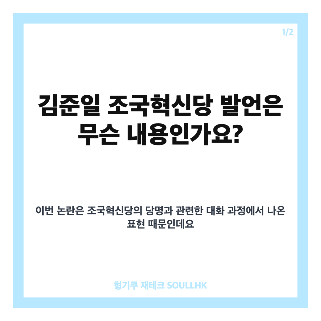 김준일 조국혁신당 발언 논란과 사과 내용 정리 카드뉴스 1