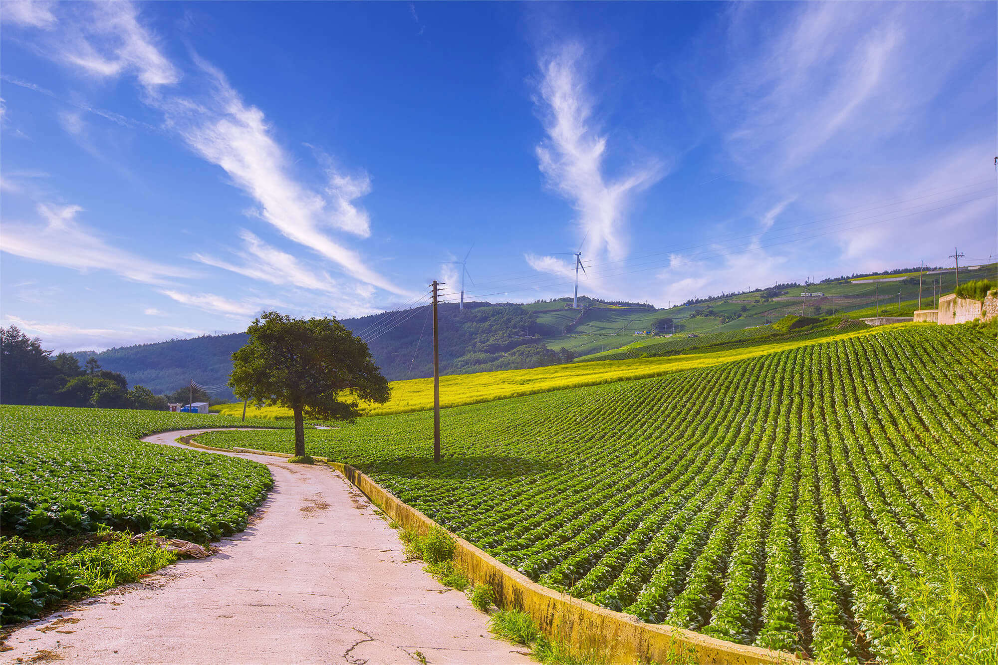 태택 매봉산 일출-6