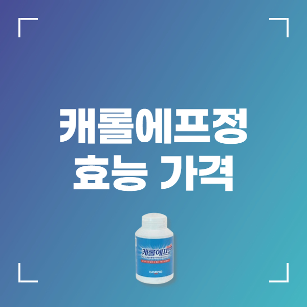 캐롤에프정 효능 복용법 부작용 가격 주의사항