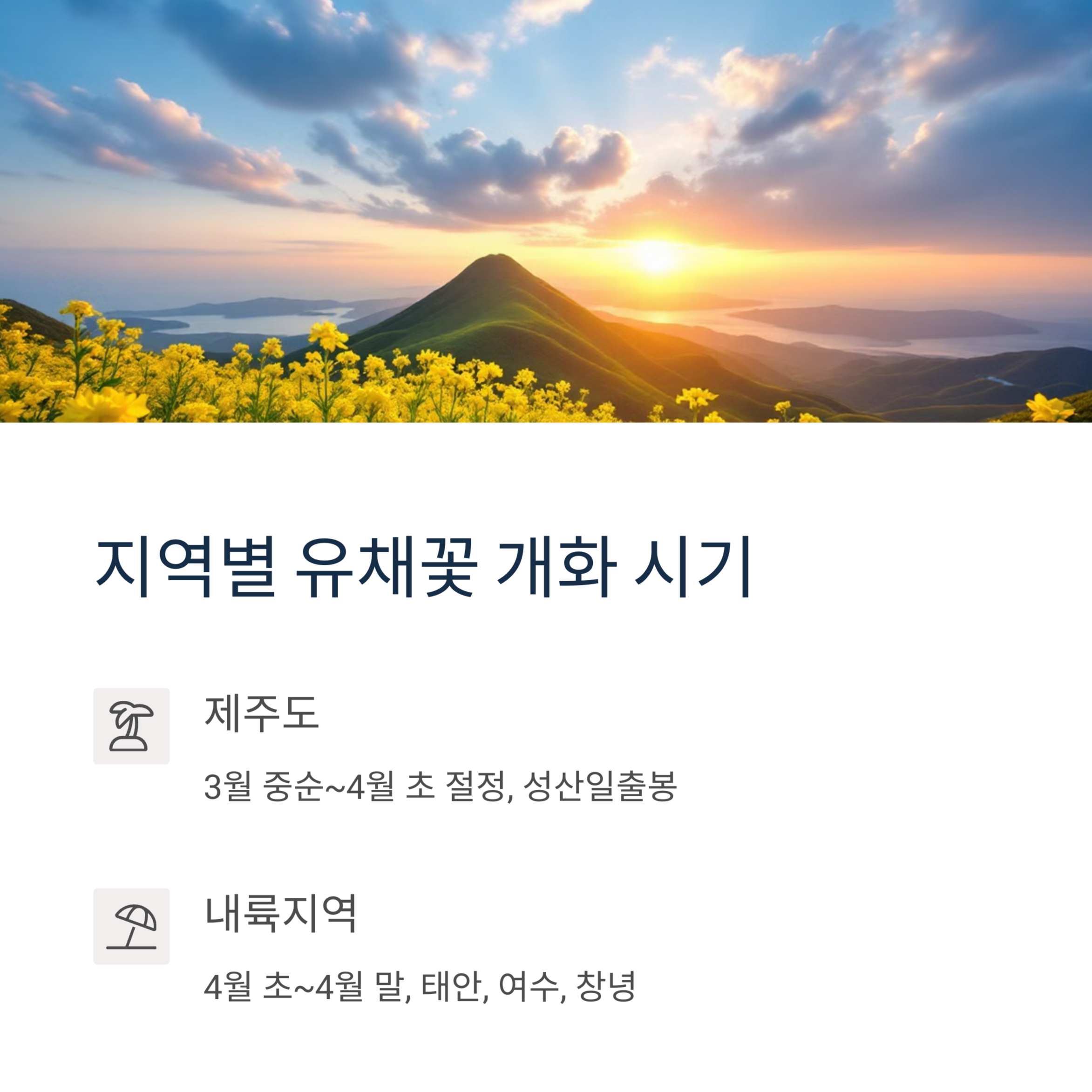 2025 유채꽃축제 추천 명소 BEST 5 &amp; 개화시기 총정리