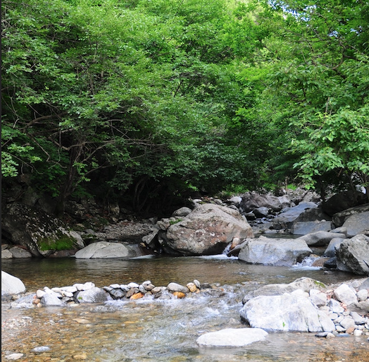 가평 어비산 어비계곡 입장료 주차 위치 주소 날씨 정보