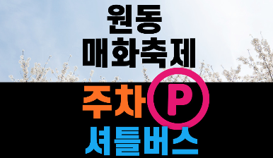 양산 원동 매화축제 주차장 셔틀버스