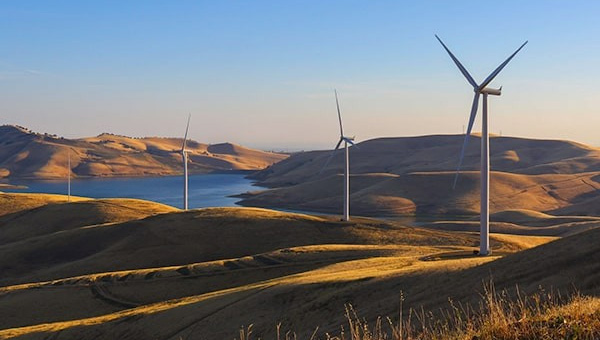 넥스테라 에너지 관련 사진