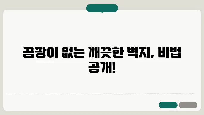 벽지 곰팡이 제거법