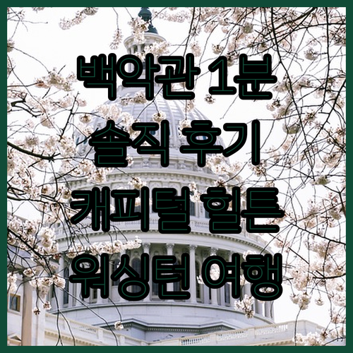 캐피털 힐튼 숙박 후기 백악관 1분 