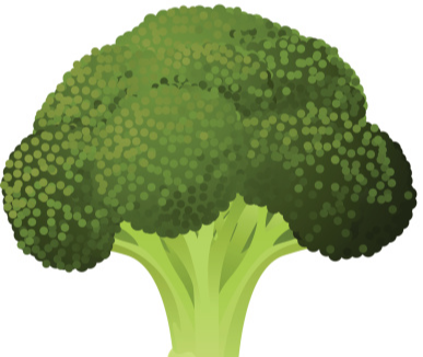 브로콜리 효능 및 부작용