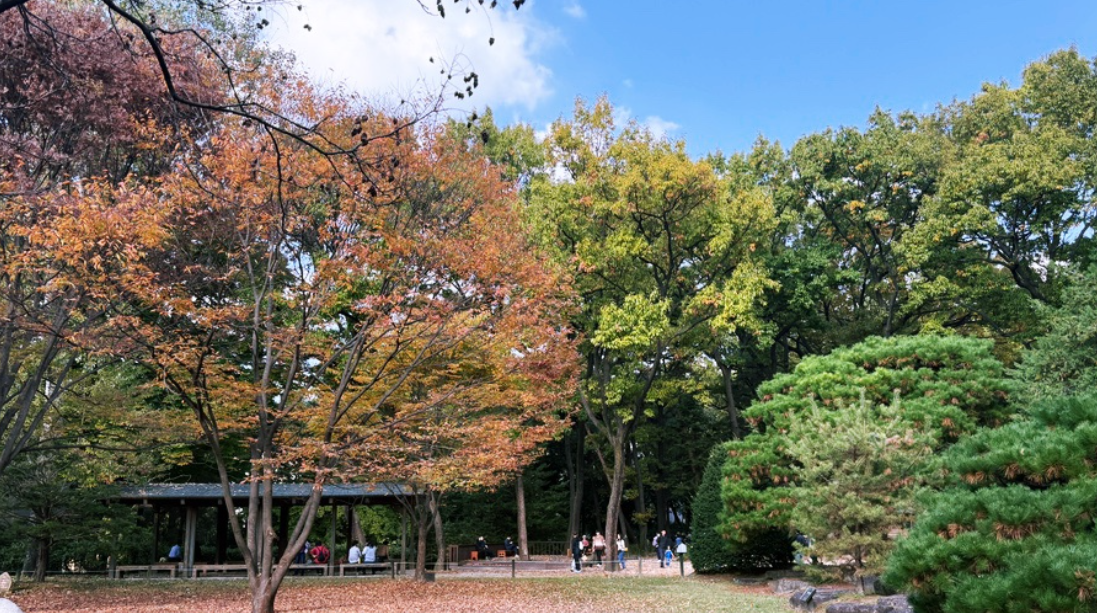 홍릉수목원