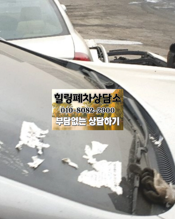 방치 차량 영치차폐차 단계별 진행 확인