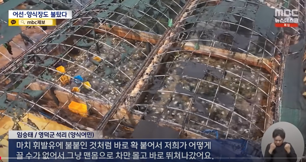 어촌 마을의 산불 피해 현황