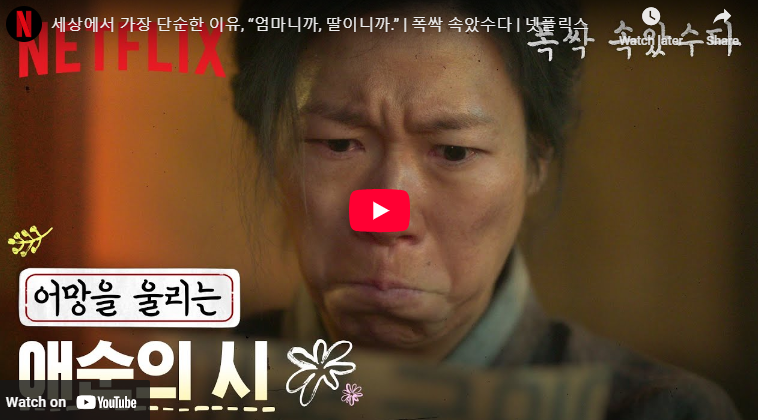 백환 뜻 동전 가치 조구 뜻 폭싹 속았수다 제주 방언 애순의 시