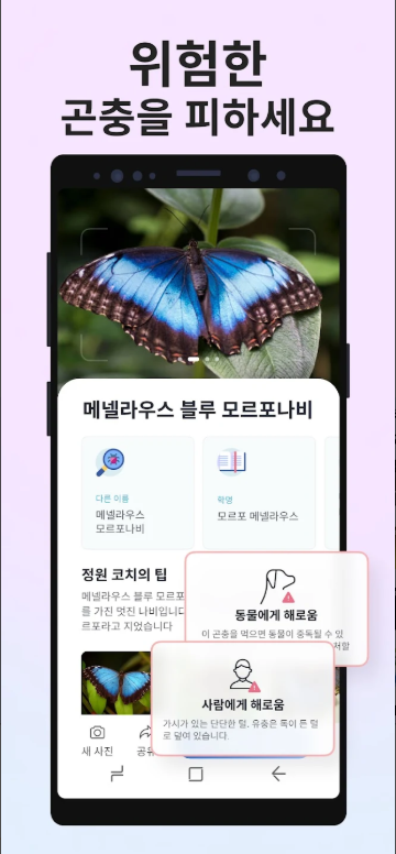 곤충이름 찾기 앱, 사진으로 곤충 식별, Picture Insect