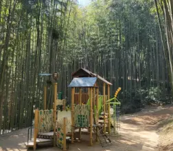 국내여행지 추천 죽녹원