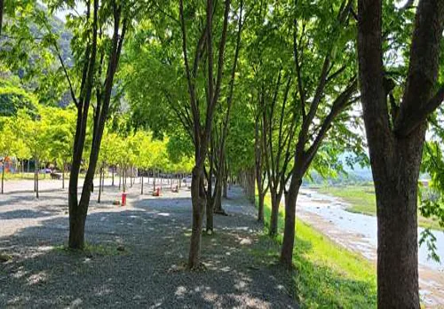 써니밸리오토캠핑장