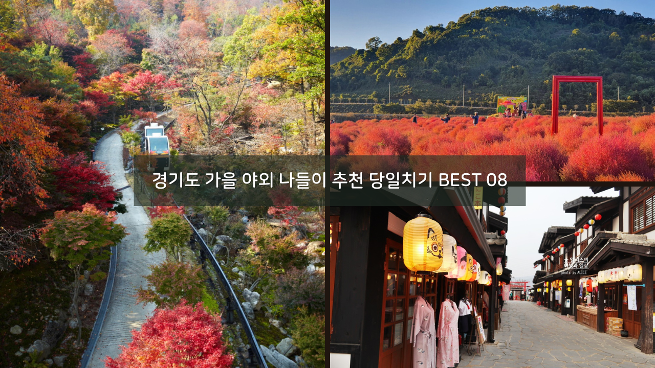 경기도 가을 야외 나들이 가볼만한곳 추천 당일치기 BEST 08