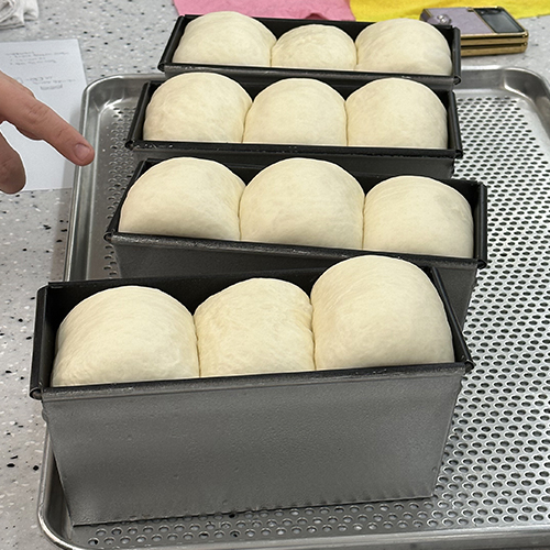 2차 발효 완료 사진