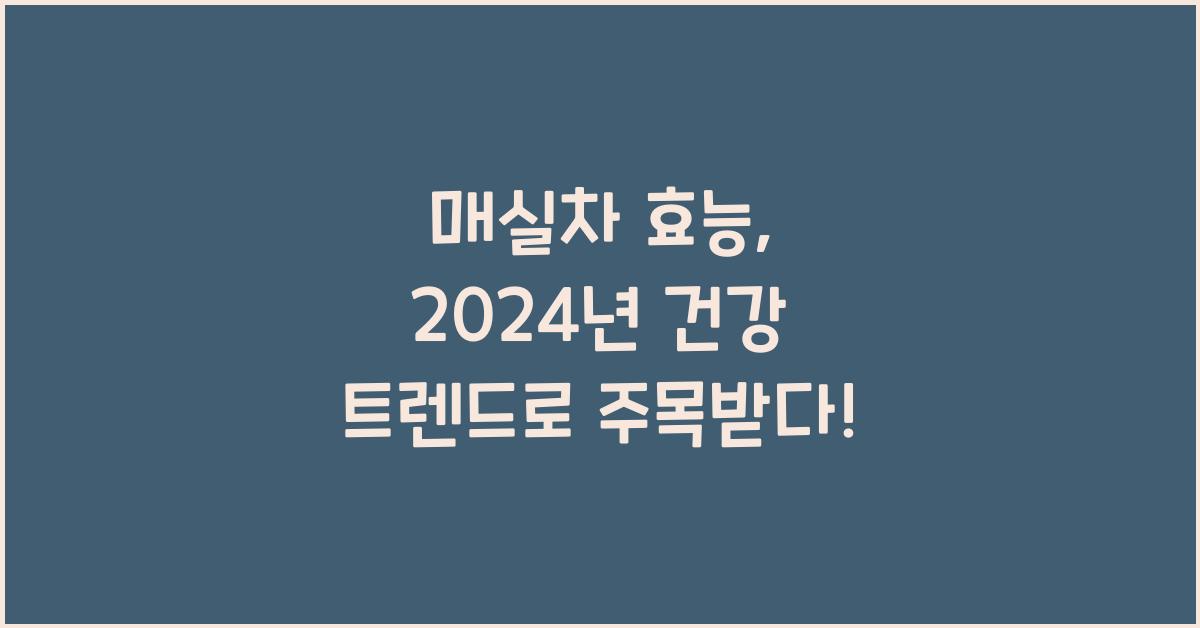 매실차 효능
