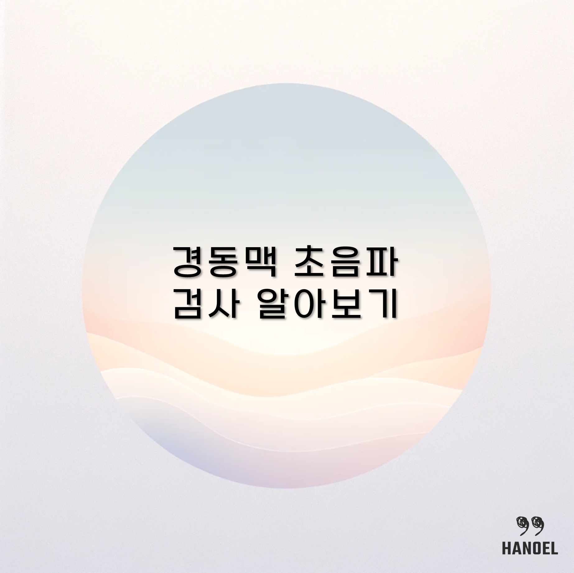 경동맥 초음파 검사 알아보기 원리 정상범위 비용 보험실비 적용 등