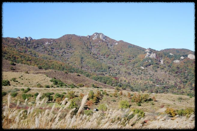 황매산 억새축제&amp;#44; 놓치면 후회할 필수 정보!