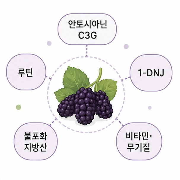 오디 주요 성분 안내