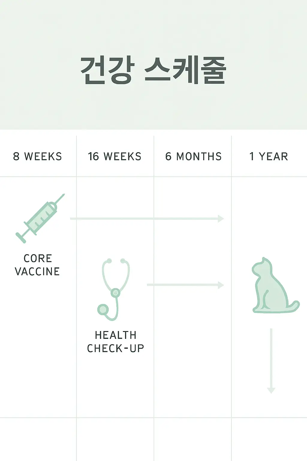고양이 핵심 백신 및 초기 건강 검진 스케줄