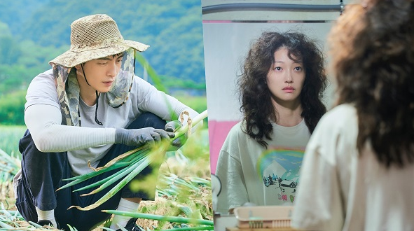 나의 해방일지 이민기 이엘