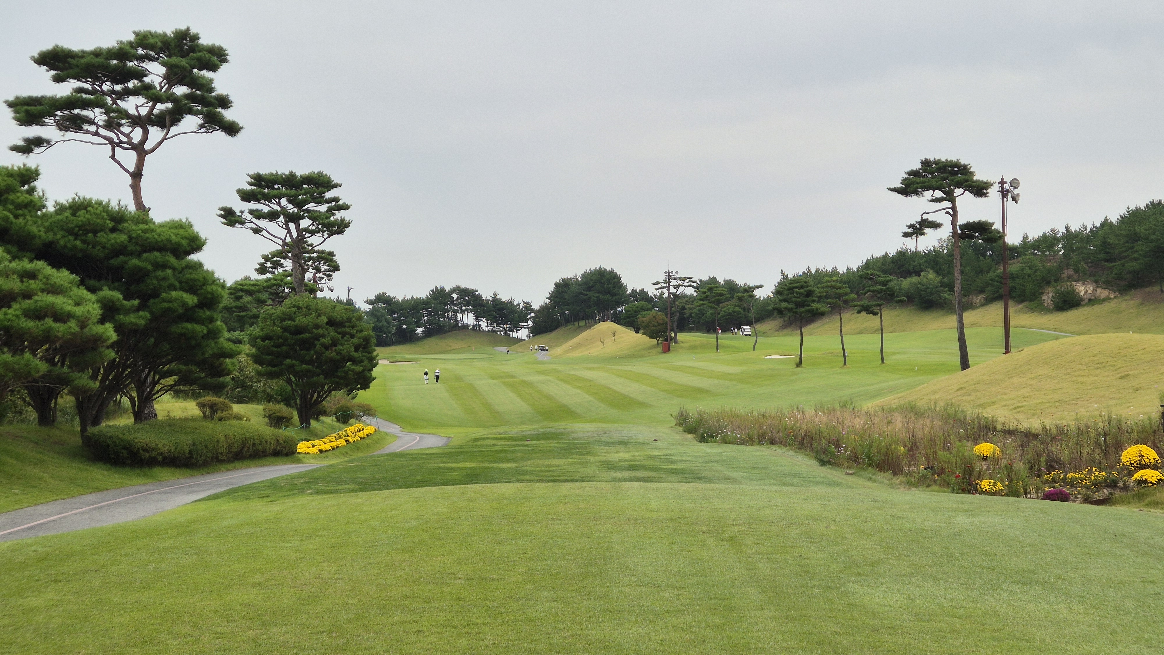 서산수cc 코스 사진 및 공략 정보