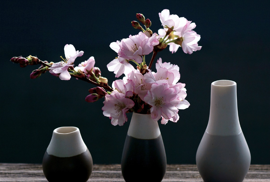 여의도 벚꽃 축제