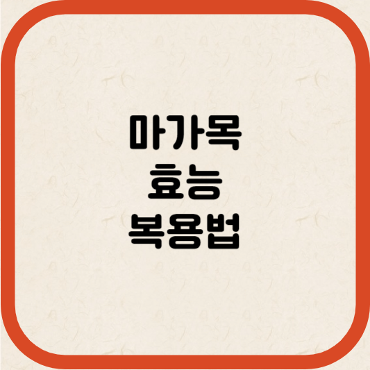 마가목 썸네일