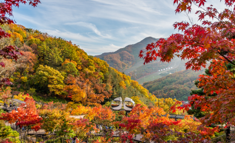 화담숲