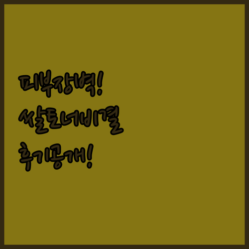 피부 장벽 강화에 좋은 쌀 에센스 토..