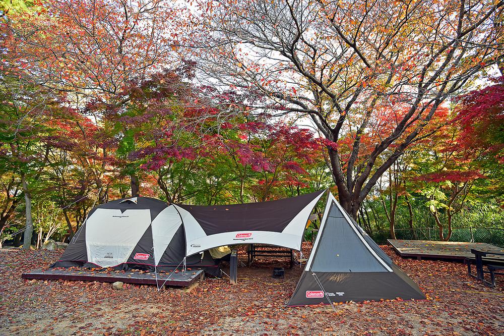 월출산국립공원 천황야영장

전라남도 영암군 영암읍 천황사로 280-73