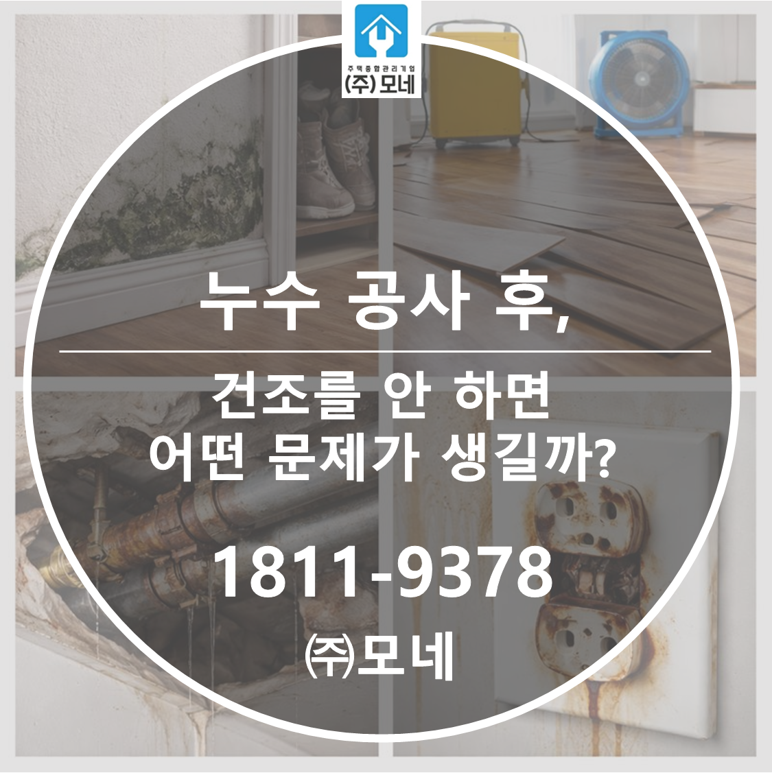 누수 공사 후 건조를 안 하면 어떤 문제가 생길까?