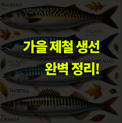 가을 제철 생선 알아볼까? 고등어, 전어, 갈치, 조기.