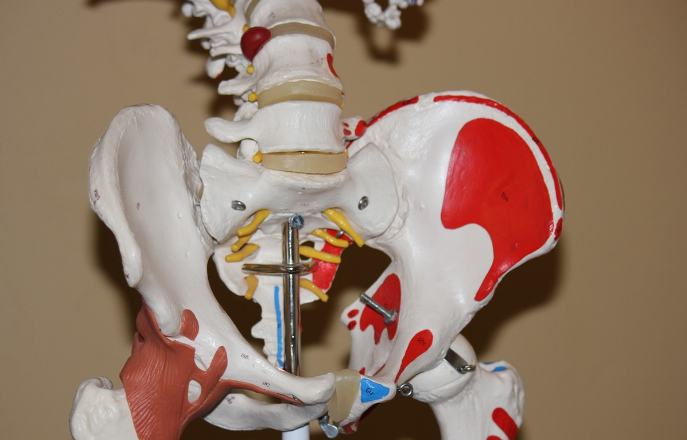 골다공증과 관련된 사진