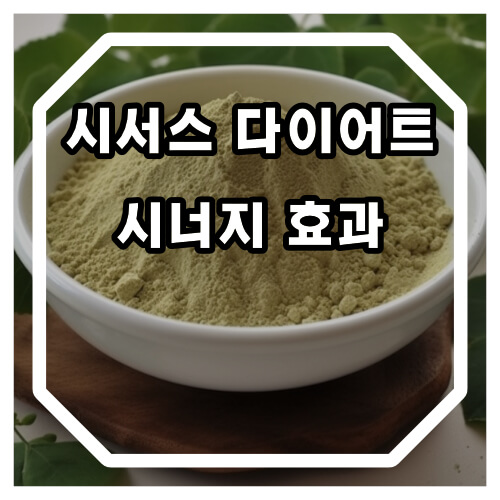시서스 다이어트와 시너지 효과를 내는 성분은 무엇이 있을까요?