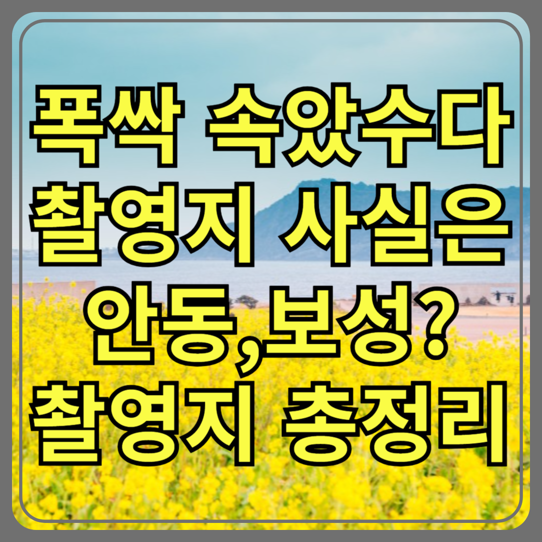 폭싹 속았수다 촬영지 알고 보면 제주도 아님?! 알고 보면 더 흥미로운 그 장소들