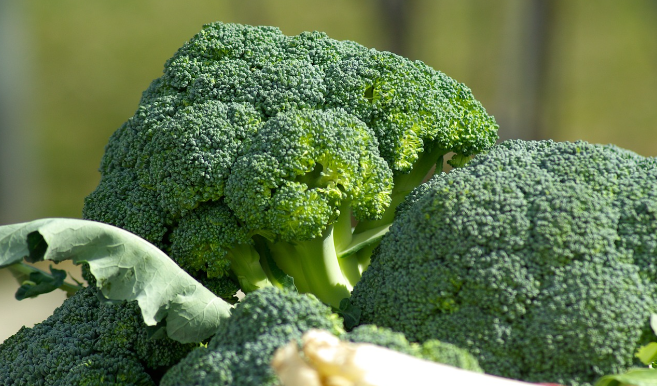 다이어터를 위한 저칼로리 식재료 이미지