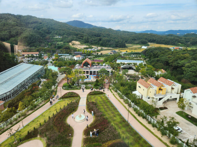 용인 자작나무숲 봄꽃축제 총정리 가이드 사진